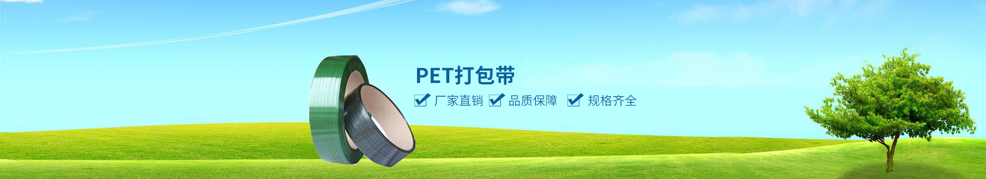 浙江PET打包带